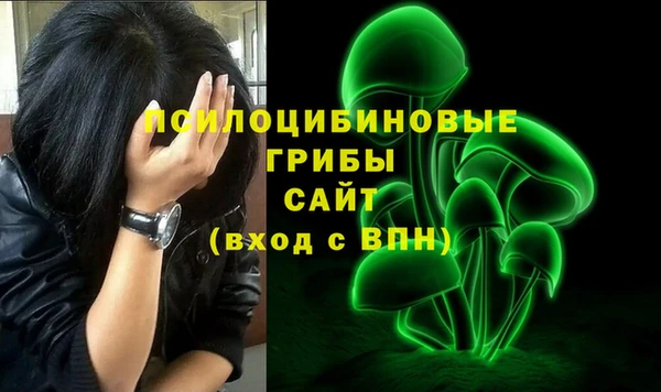 a pvp Алексеевка