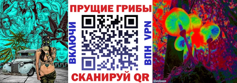 купить наркотики сайты  Чусовой  Псилоцибиновые грибы прущие грибы 