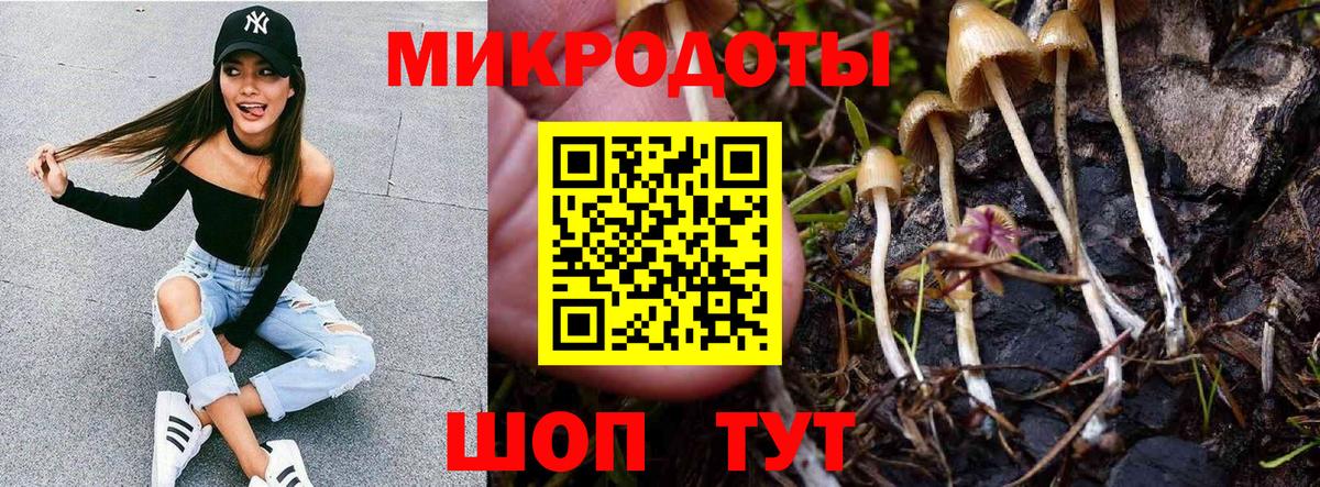 Чусовой  Галлюциногенные грибы MAGIC MUSHROOMS  Вход с VPN  Псилоцибиновые грибы прущие грибы 